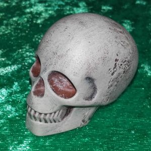 Skull #1 small model - bone/brown