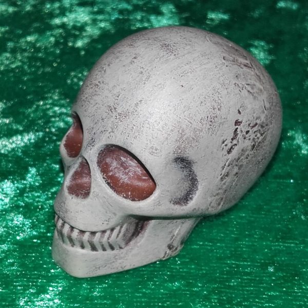 Skull #1 small model - bone/brown